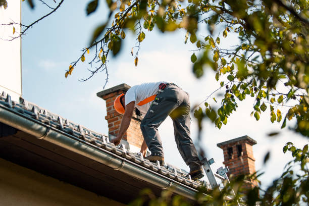 Best Roof Gutter Cleaning  in Ke Arthur, LA