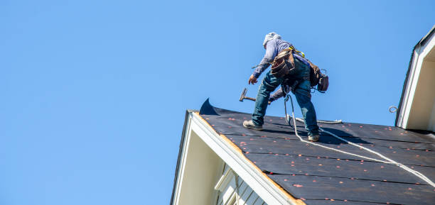 Roof Gutter Cleaning in Lake Arthur, LA